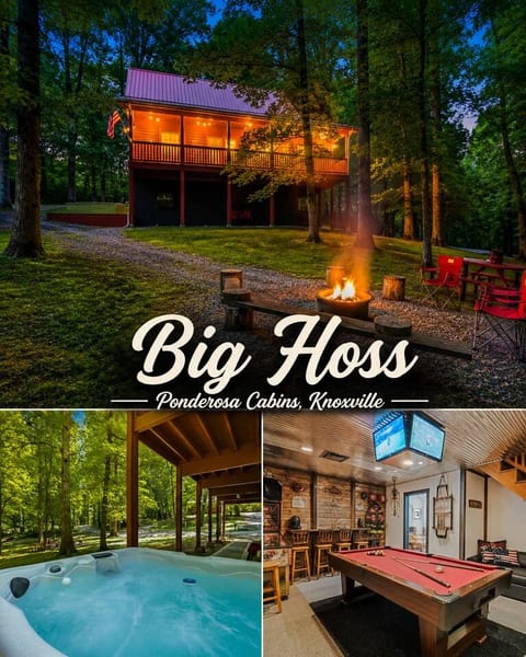 Cabin•HotTub• GameRoom• 16 Acres• NearUTK, Smokies