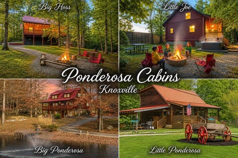 4 Private Cabins•16 Acres•Hot Tubs•Sauna•Near UTK