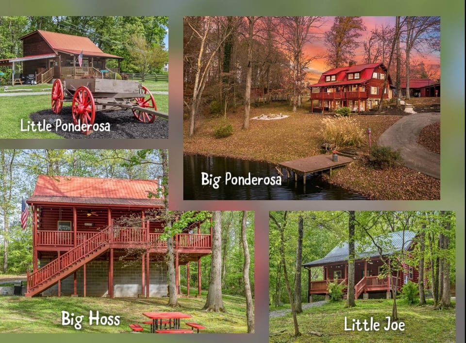 4 Private Cabins•16 Acres•Hot Tubs•Sauna•Near UTK - Knoxville