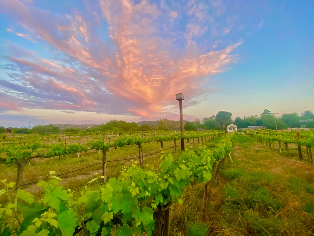 cozy-vineyard-tiny-house-in-ramona-wine-country/