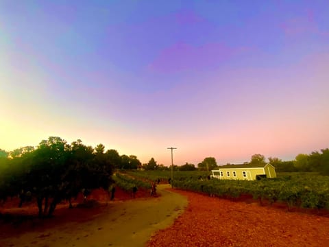 Cozy Vineyard Tiny House in Ramona Wine Country image 3
