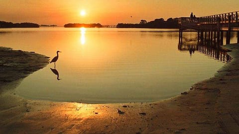 Pvt Pool, Free Kayaks, Steps to Gulf, Fish, Bike Trail +