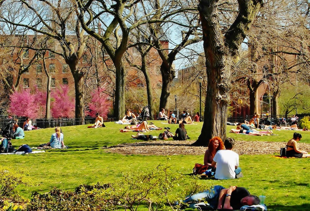 Tompkins Square Park: the "backyard" of the apartment - Sunny duplex oasis with 3 private terraces - New York