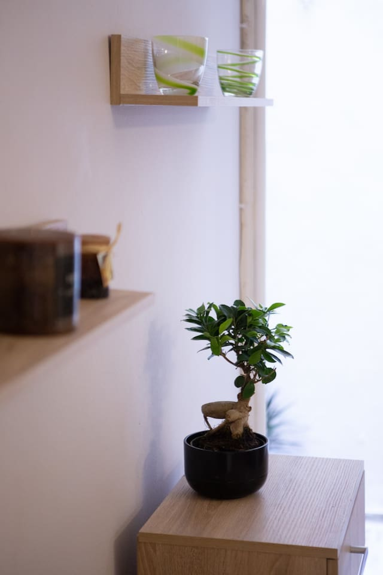 plato's-square-apartments/