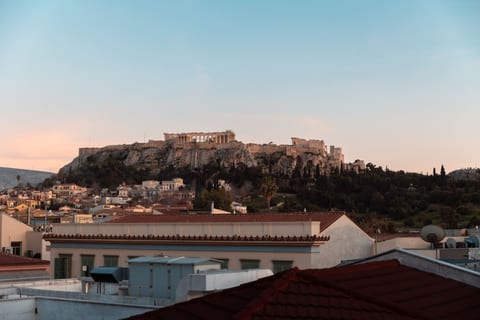 Parthenon Portrait