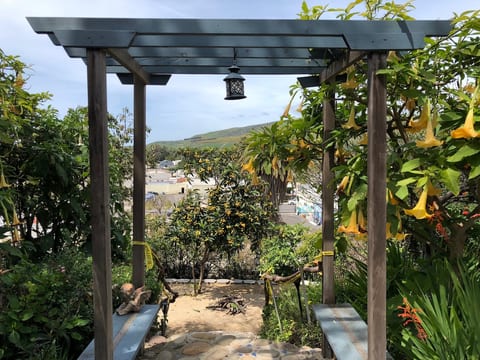 Steps down to the Lower Garden