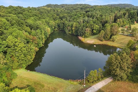 Aerial view of the lake, we are up in those trees!