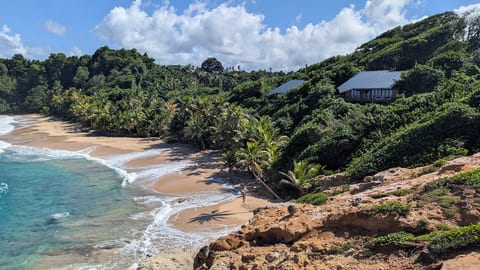 Turtle Beach villa, Private beach image 1