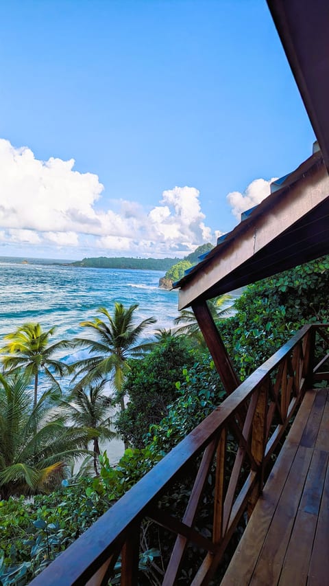 Turtle Beach villa, Private beach