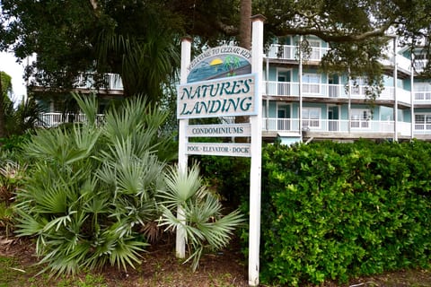 Nature's Landing C-104--Corner Catch