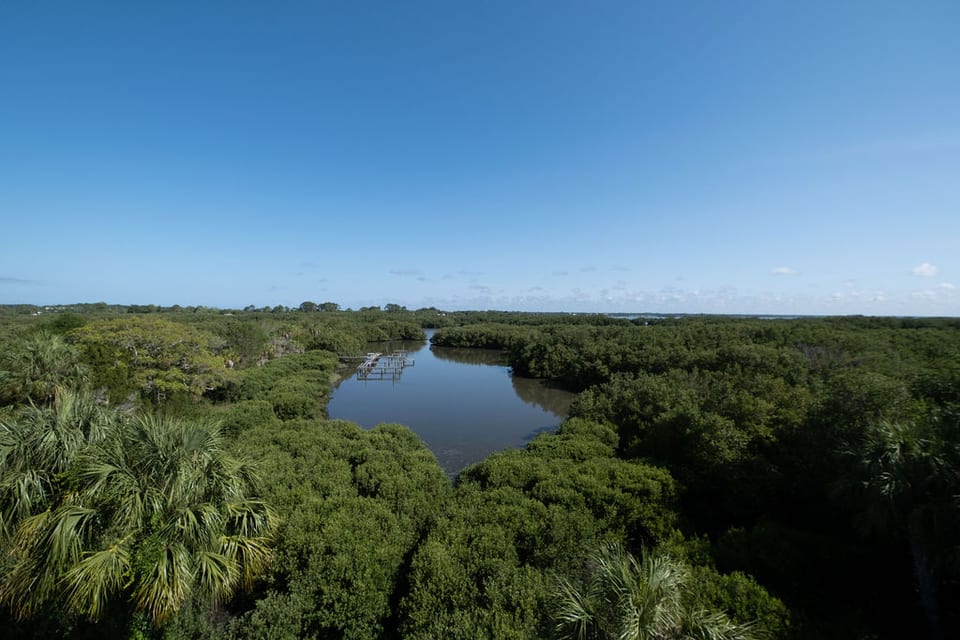 Incredible Nature and Water Views from Your Balcony!