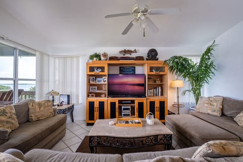 TV Equipped with WiFi