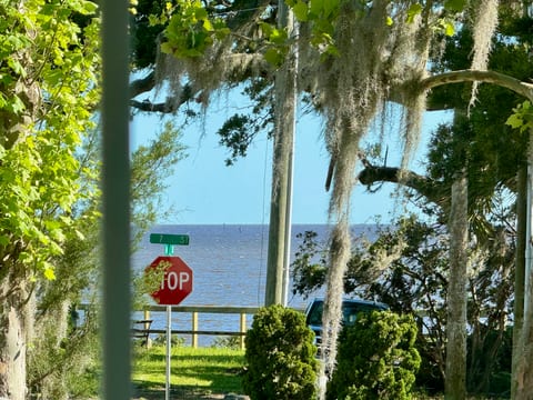 Osprey Nest