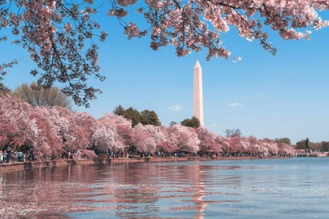 Downtown Haven Dupont Circle 2BD/2BA Condo