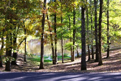View from front porch