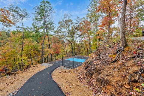 NEW Pickleball Paradise Sleep 20 Jacuzzi Putt Putt image 5