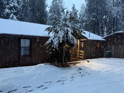 Mountain Cabin | Tahoe Day Trip | Lake