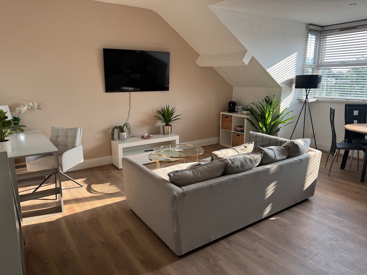 City Centre top floor large flat image 1