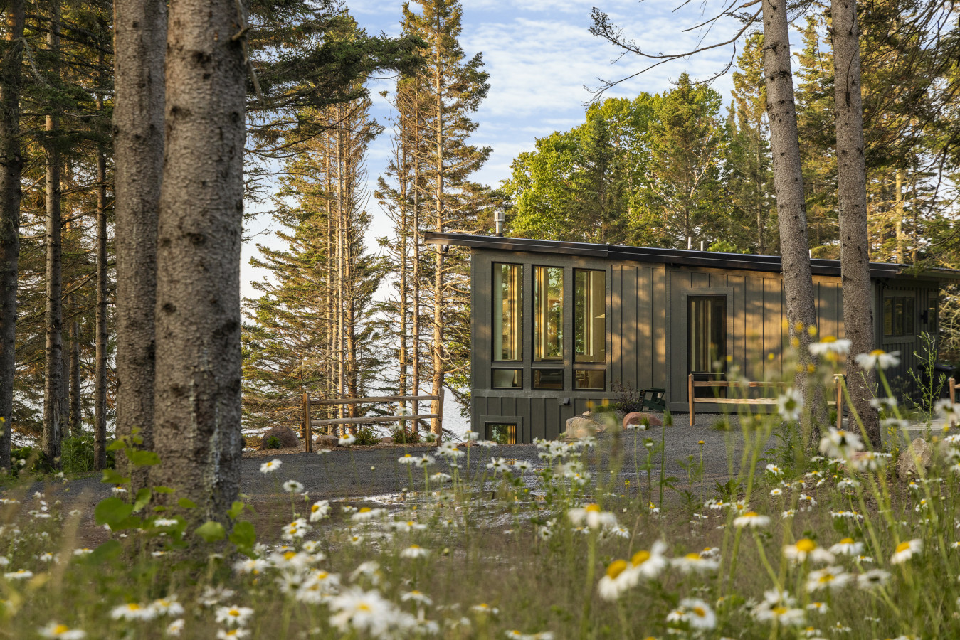 Tallens Stuga | Cabin of the Pines