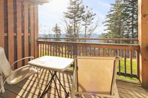 Stylish 3BR 2BA Summit Condo Good WiFi EZ Parking