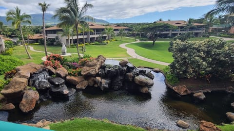 View from Lanai
