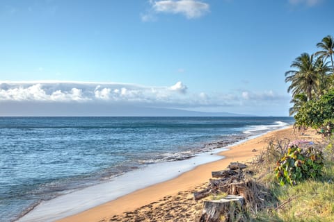 Famous Kaanapali Beach - Just steps away from the condo!