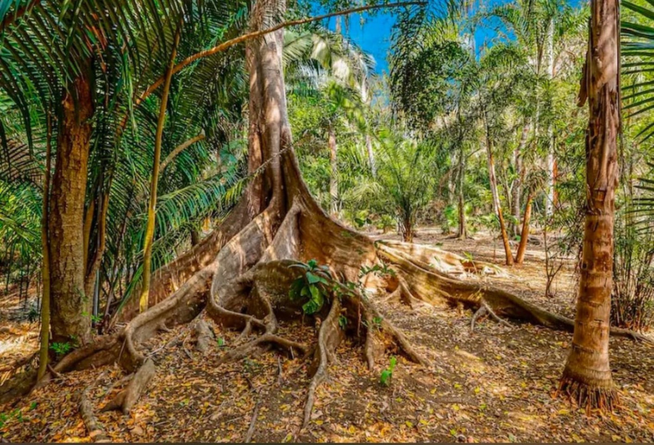 mita-woods-4-villas/