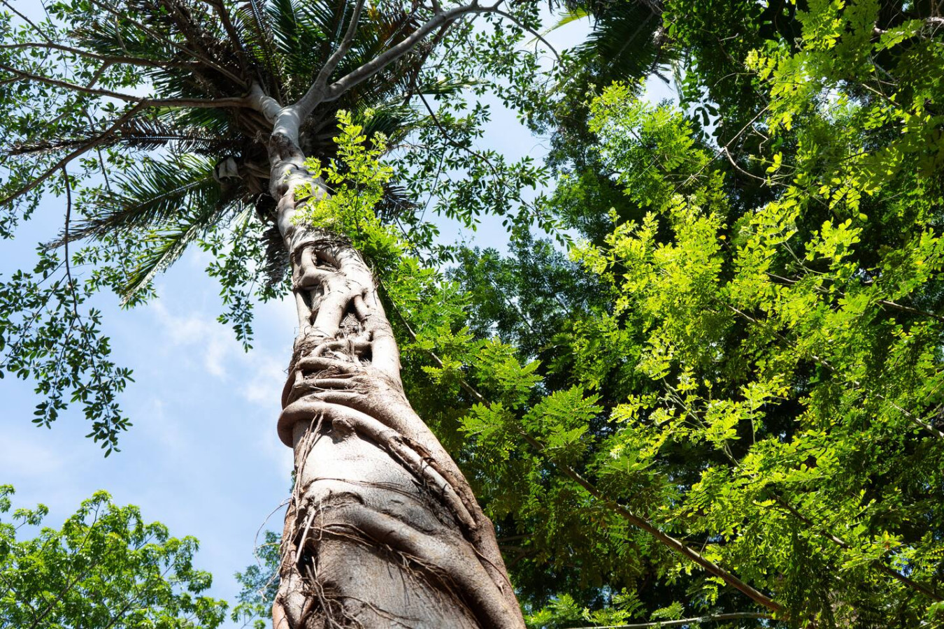 the-retreat-3-villas/