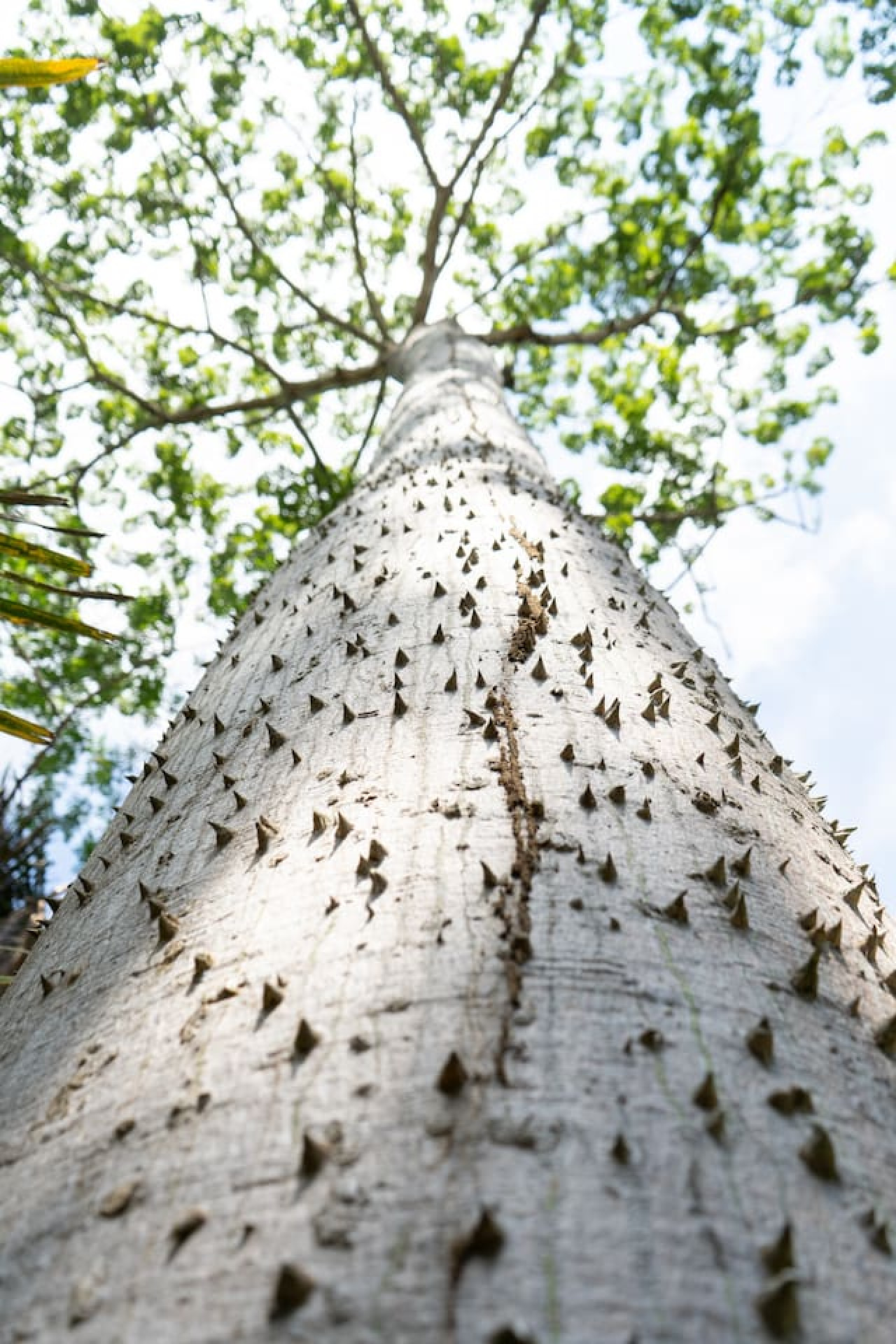 sanctuary-1-bedroom-+-main-house/