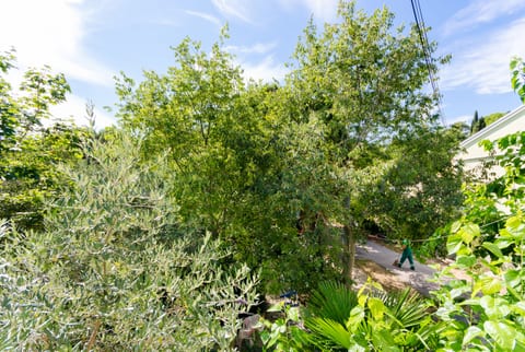 Apartments Massimo - Unit 47293-61