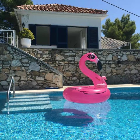 Flamingo Fun