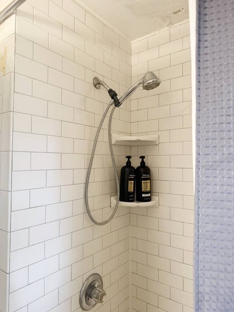 Spring Street Suites B | QUEEN 3BD/1BA Stylish Apt