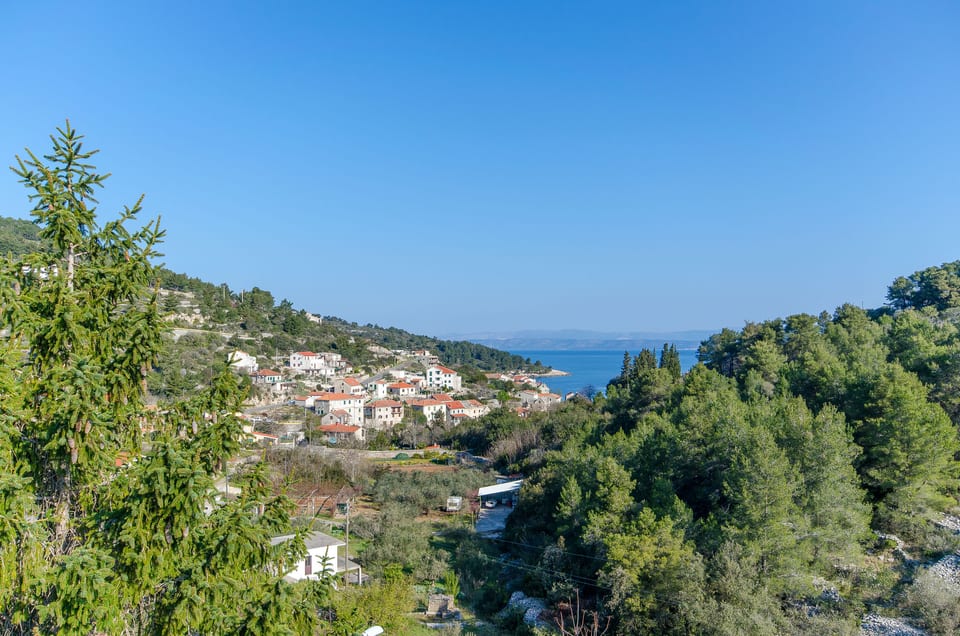 Apartments Drazen - Unit 206921-16 - Croatia