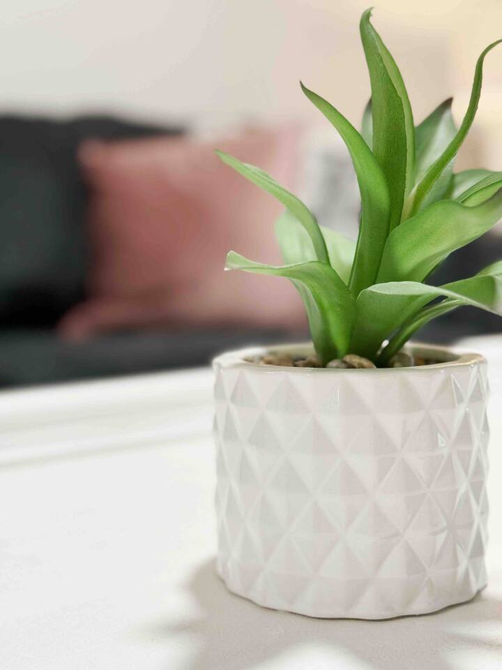 House of Color B | KING 1BD/1BA Apt near Downtown