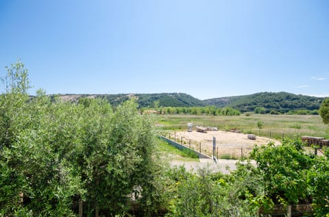 Apartments Zorka - Unit 180203-16