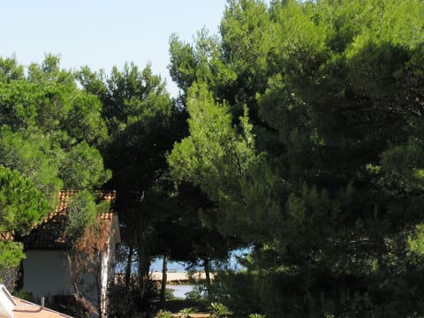 Apartments Vink - Unit 372386-13