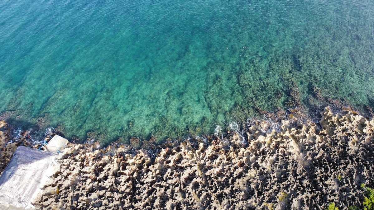 The SeaEsta at Coral Breeze in West End, Roatan image 40