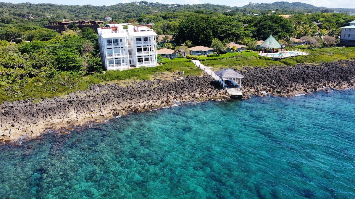 The SeaEsta at Coral Breeze in West End, Roatan image 39