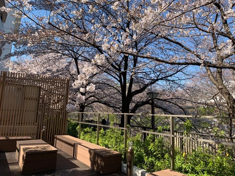 Riverside Nakameguro