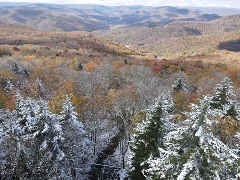 Chateau Celeste - Snowshoe -100 yds from Cupp Run