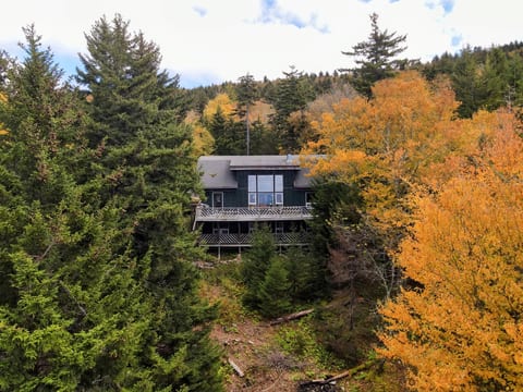 Chateau Celeste - Snowshoe -100 yds from Cupp Run image 1