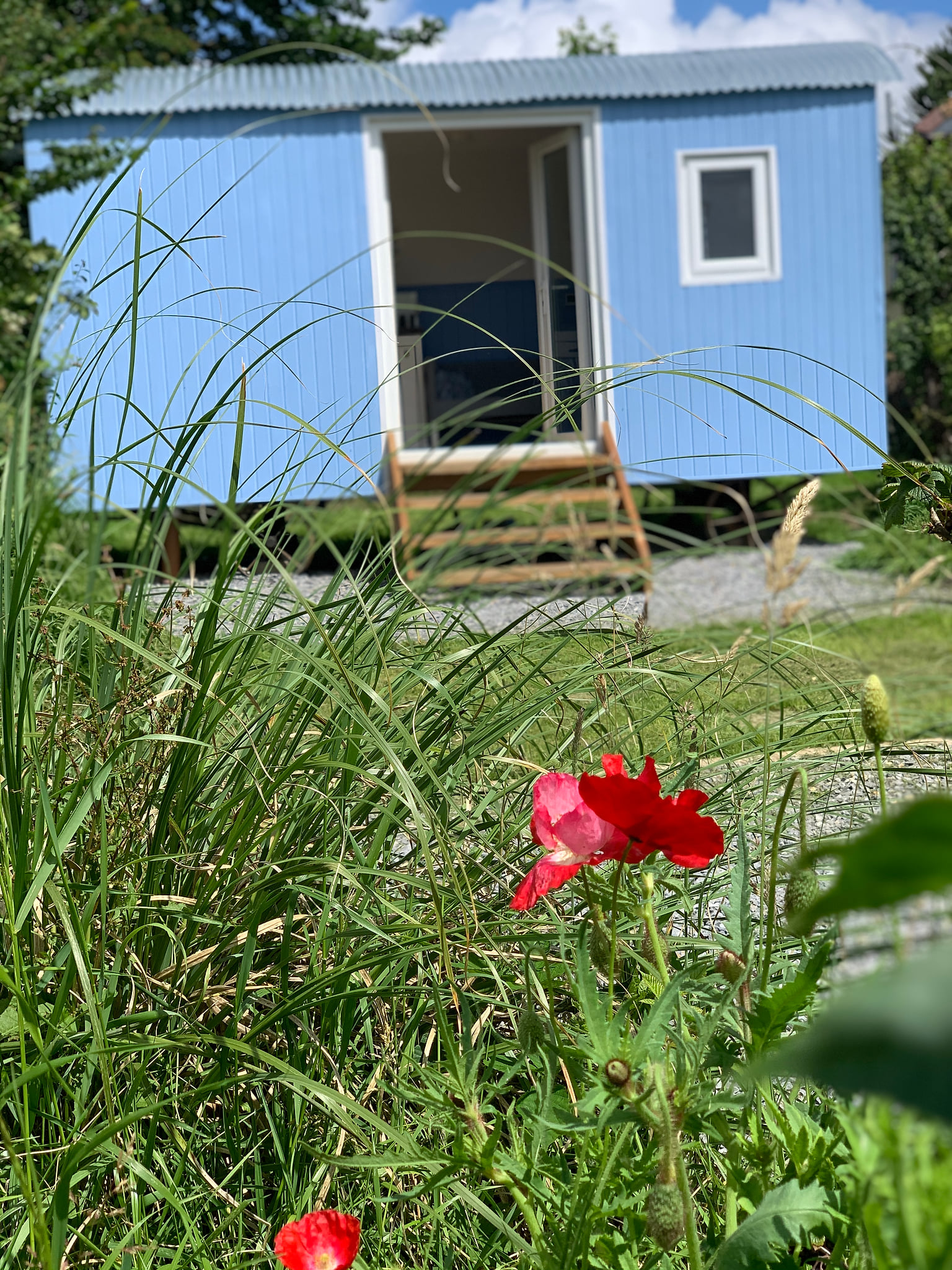 Apple Tree Hut (With Hot-Tub)
