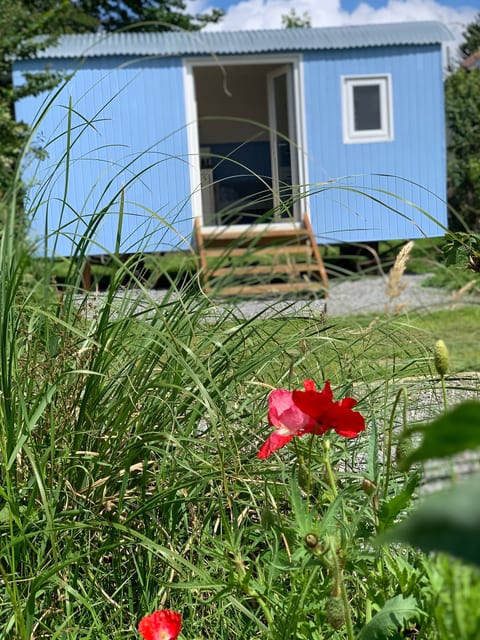 Apple Tree Hut (With Hot-Tub)