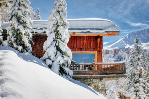 Chalet Dakota - La Plagne 1800 - 15 people - Ski in ski out