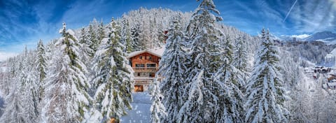 Chalet Dakota - La Plagne 1800 - 15 people - Ski in ski out
