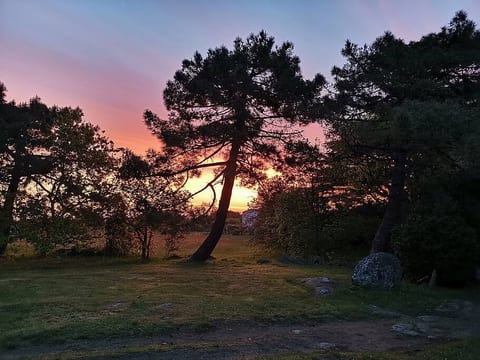 Moulin à vent | authencité et modernité