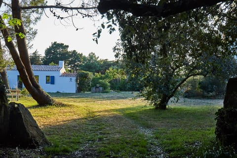 2 maisons spacieuses | grand jardin aménagé