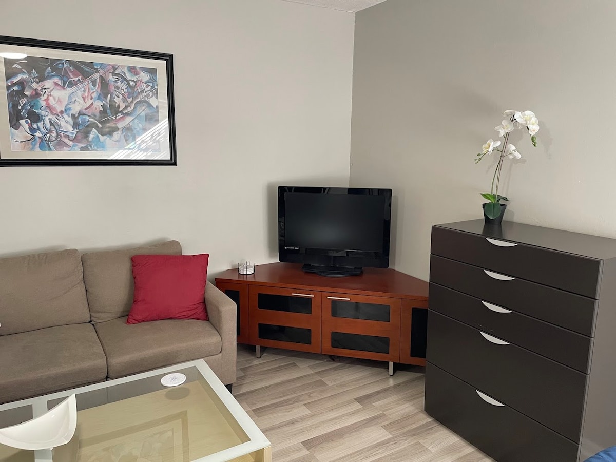 Premium Studio Apt * Near Hospitals * Washer/Dryer image 1 Premium Studio Apt * Near Hospitals * Washer/Dryer