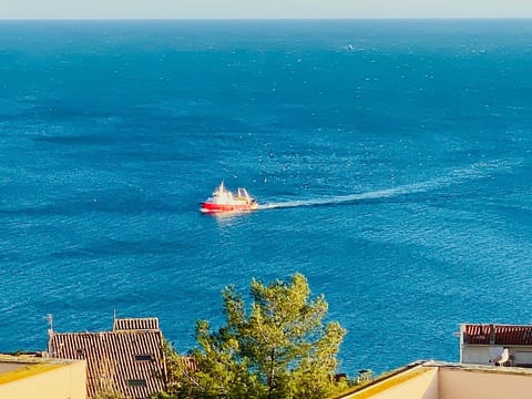 Azur 2 T1 avec vue imprenable sur la mer+parking