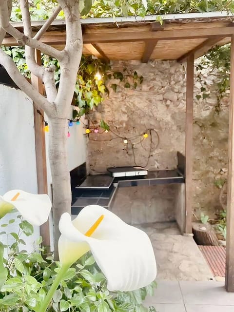 Maison Bleue Quartier Haut,Clim,Parking,Jardin